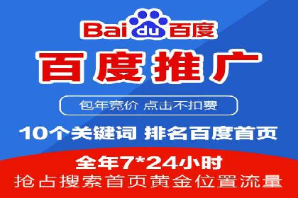 网络推广竞价策略解析与应用案例